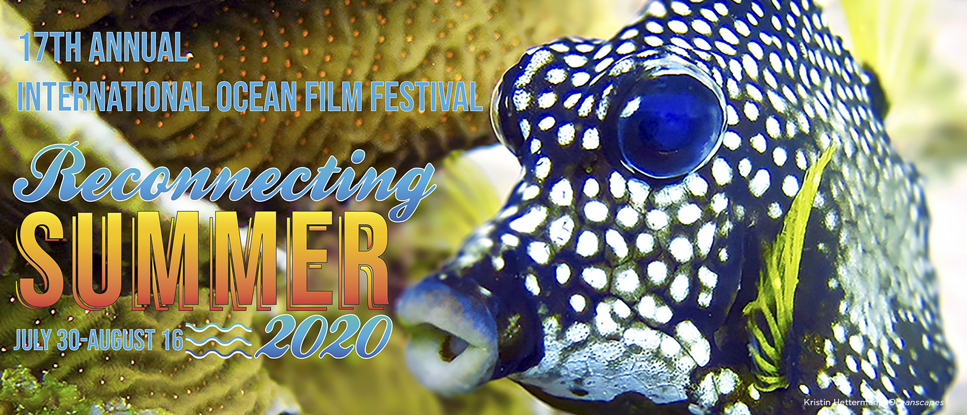 17th Annual International Ocean Film Festival