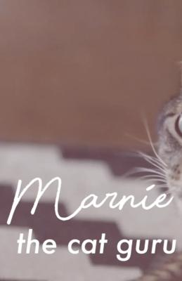Marnie: The Cat Guru