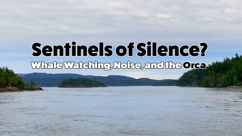 Filmmaker Q&A: SENTINELS OF SILENCE