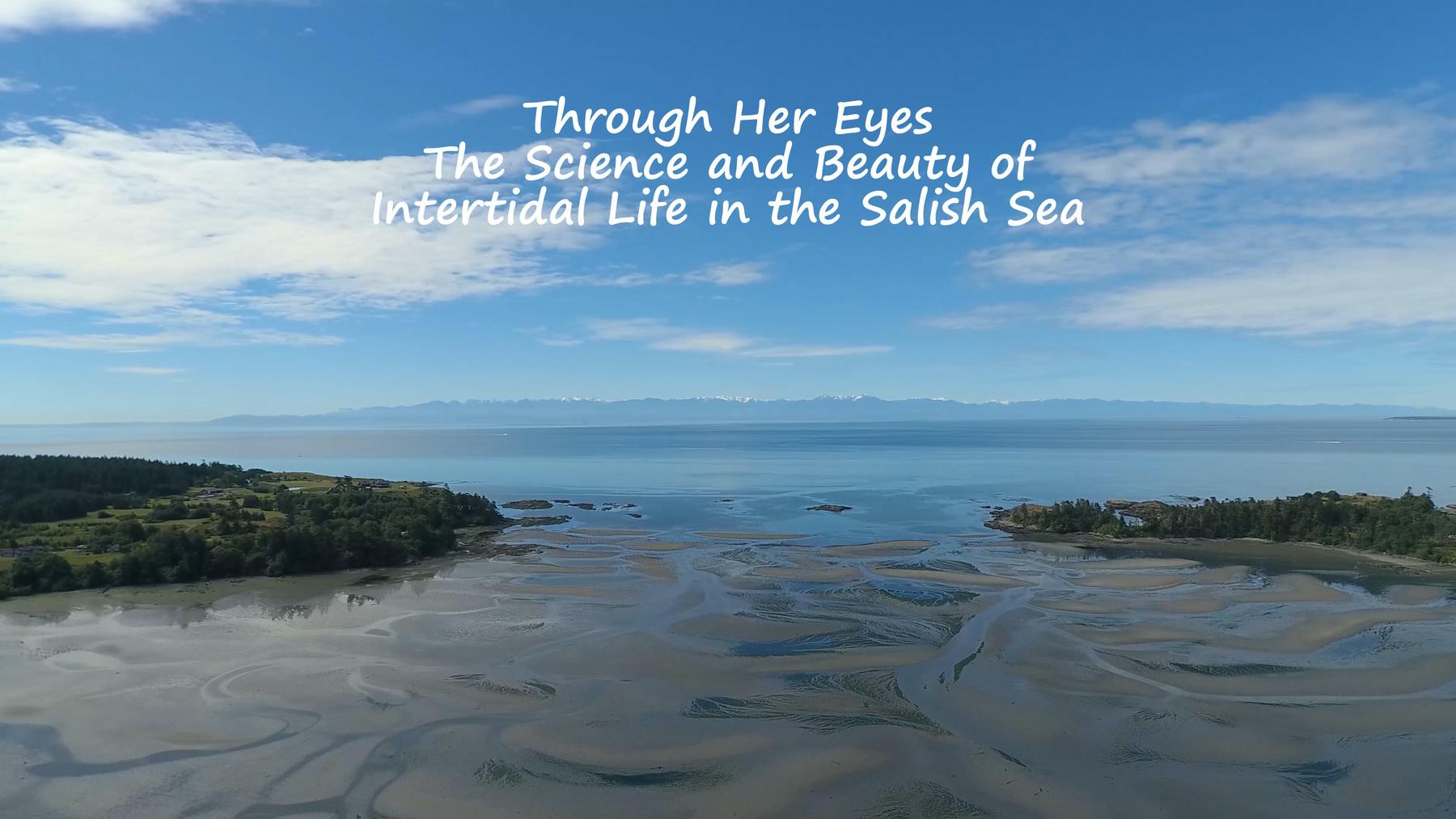 Filmmaker Q&A: THROUGH HER EYES: THE SCIENCE AND BEAUTY OF INTERTIDAL LIFE IN THE SALISH SEA