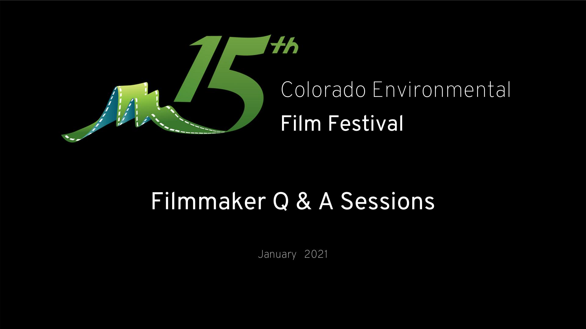 Filmmaker Q&A Sessions 