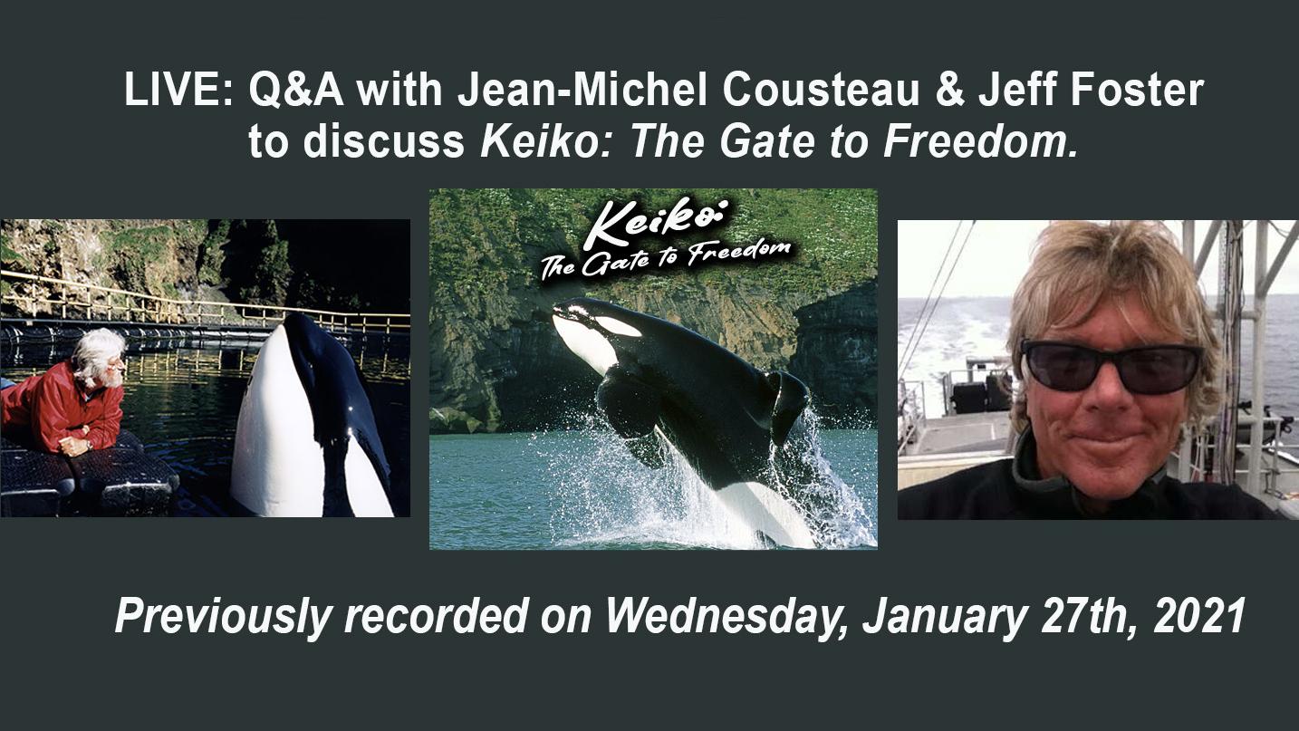 LIVE Q&A with Jean-Michel Cousteau and Jeff Foster for Keiko: The Gate to Freedom
