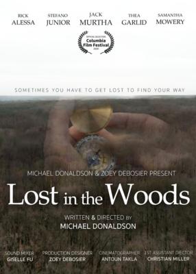 Festival Retrospective - Lost In The Woods