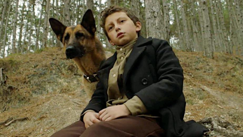 Shepherd: The Story of a Jewish Dog Post Screening Q&A