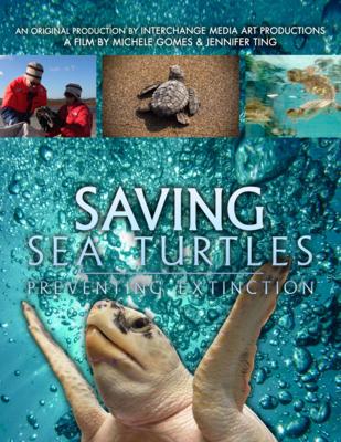Saving Sea Turtles: Preventing Extinction