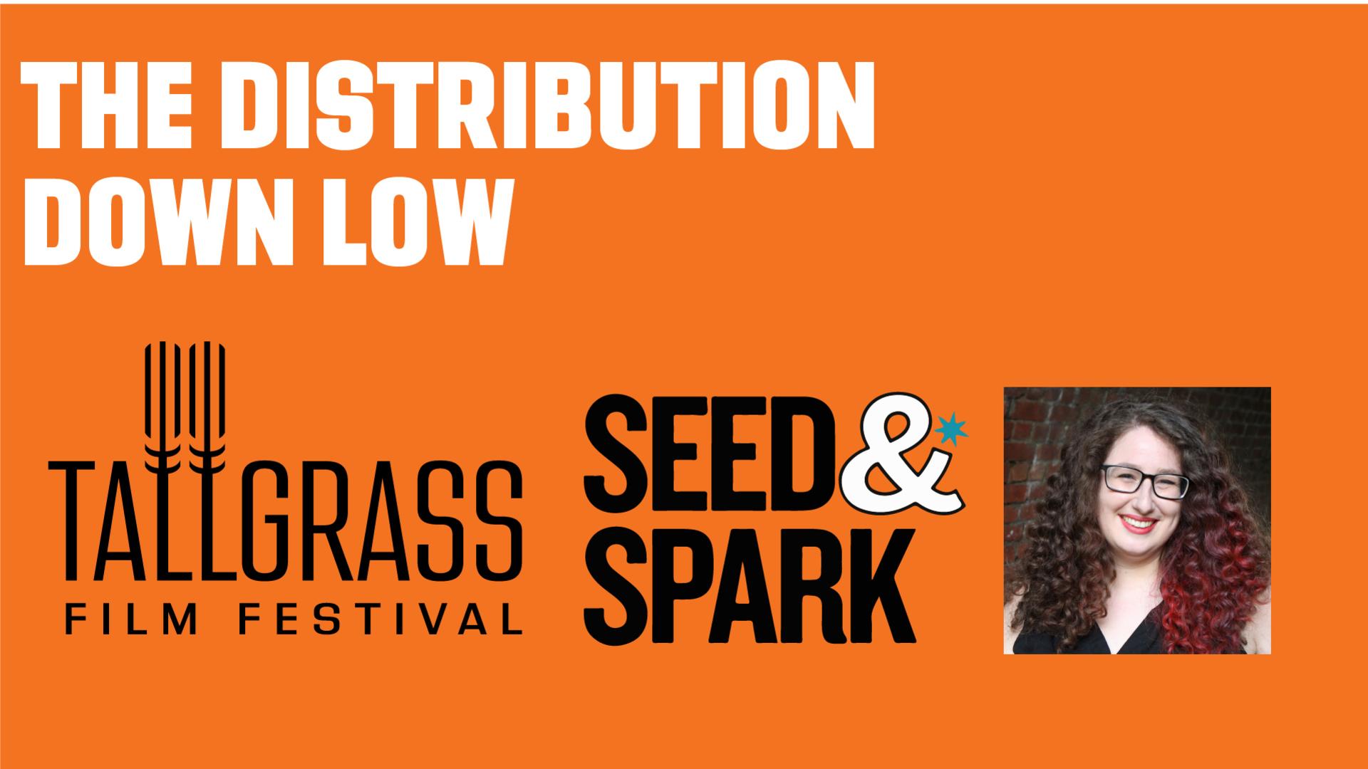 The Distribution Down Low: Shorts and Web Series Presented by Seed & Spark