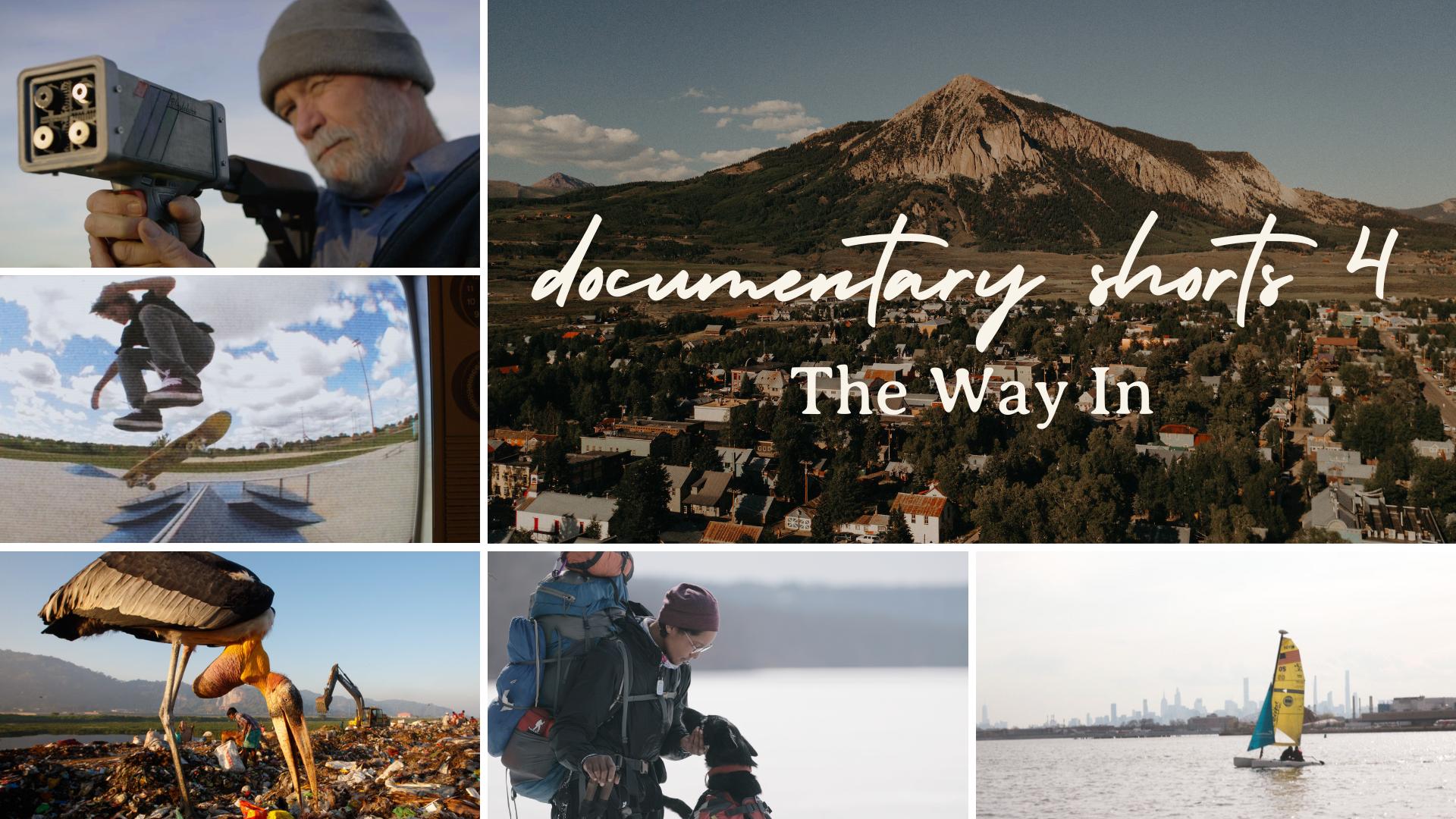 Documentary Shorts IV: The Way In (Virtual)