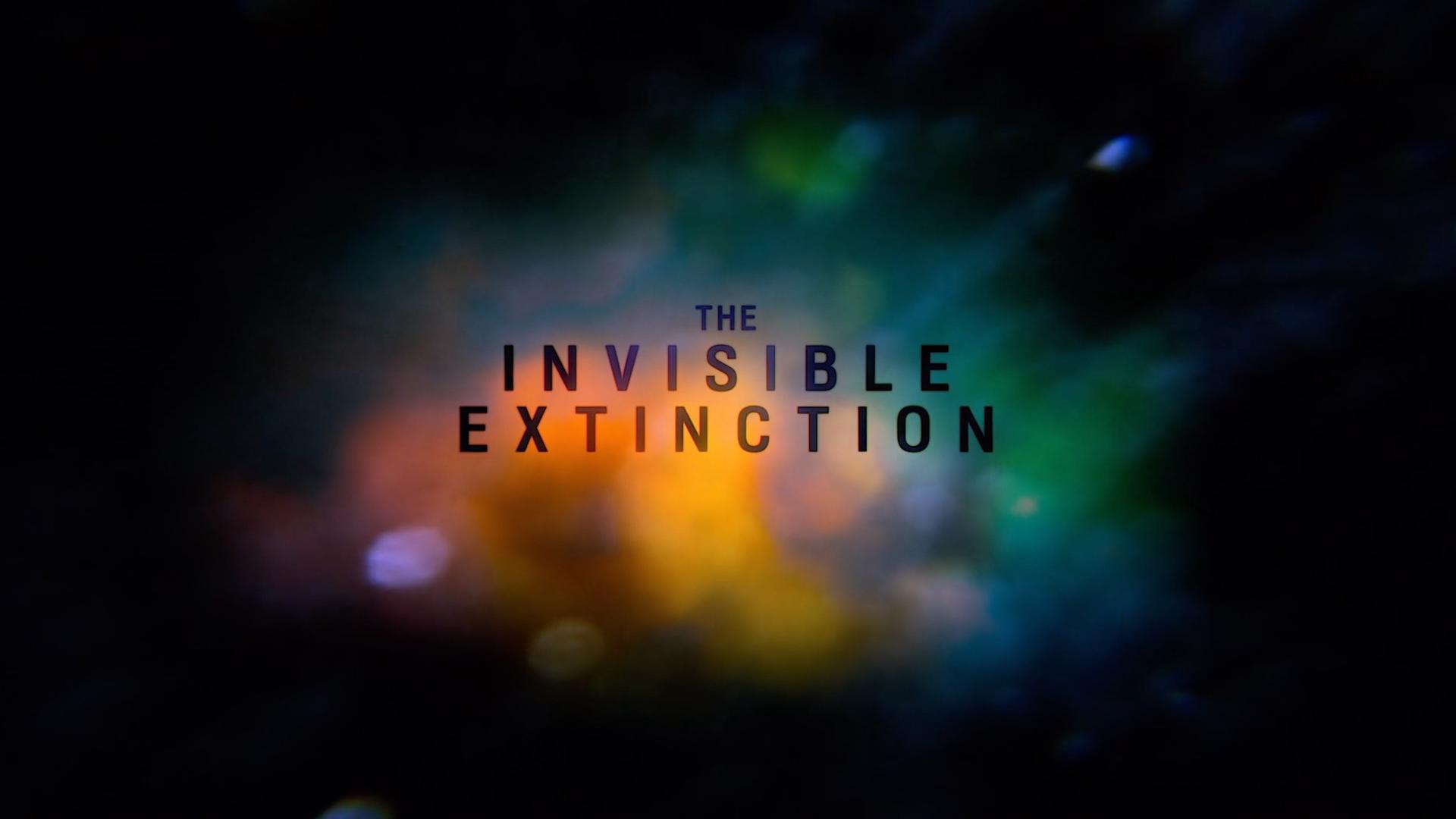 IFF22 Q&A: The Invisible Extinction