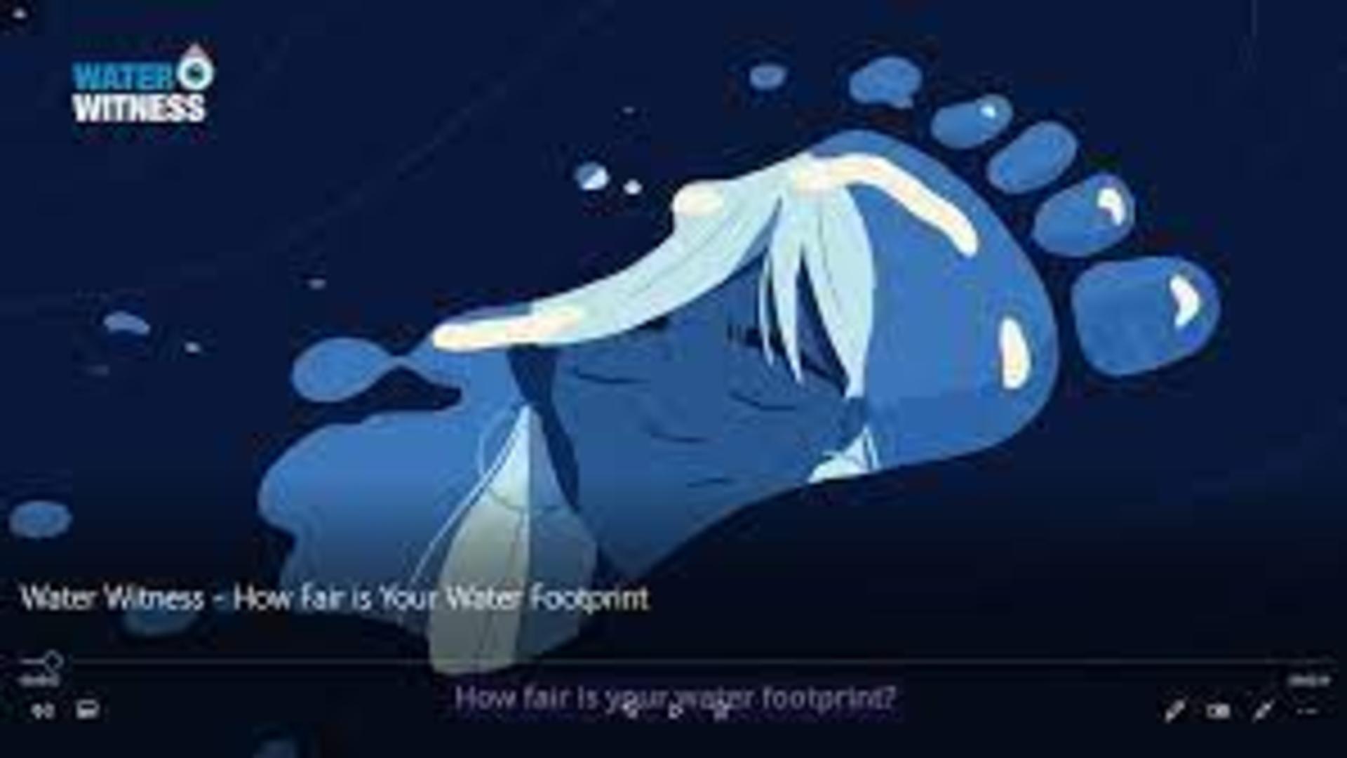 PARTNER VIDEO: Water Witness - How Fair is Your Water Footprint?