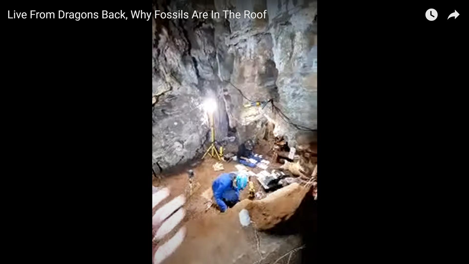 5.2.4 Live from the Rising Star Cave. 4- Live From Dragons Back, Why Fossils Are In The Roof