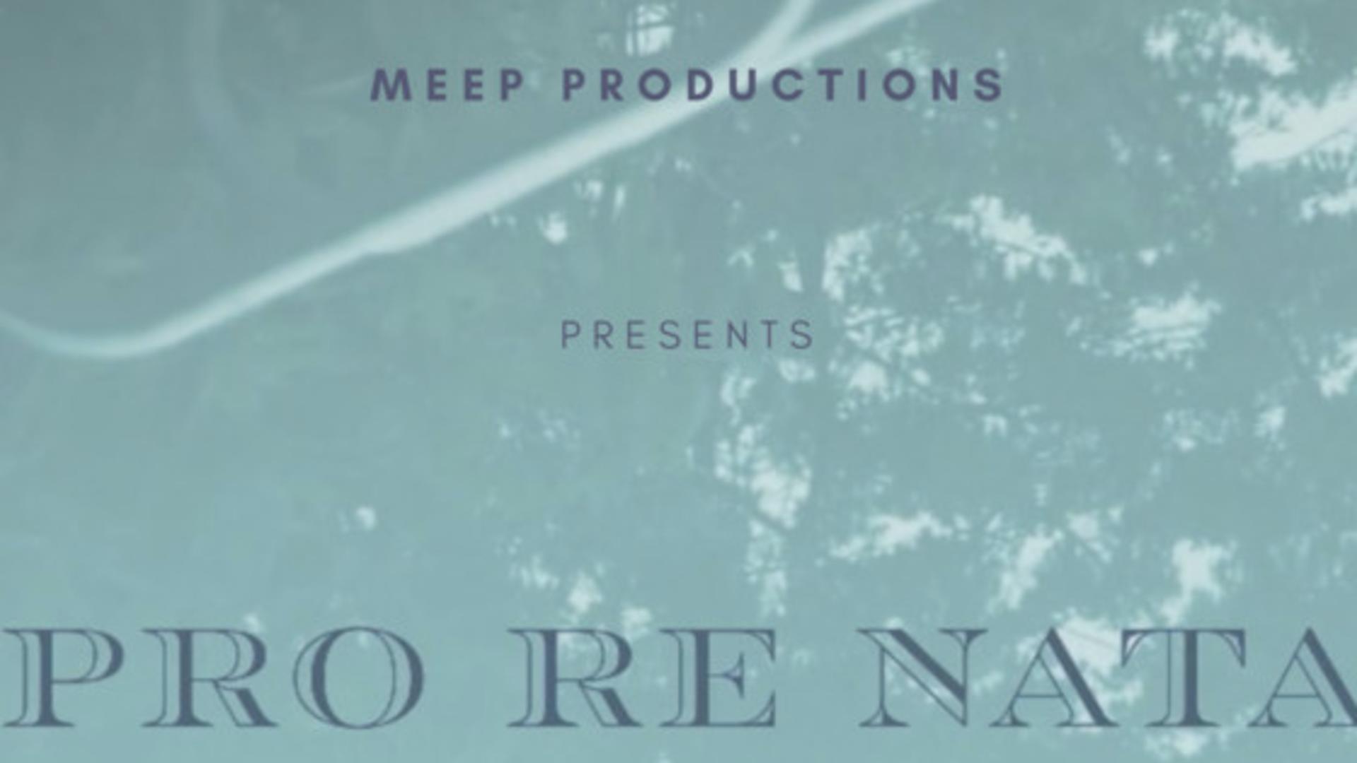 Pro Re Nata, Films by Meep Productions