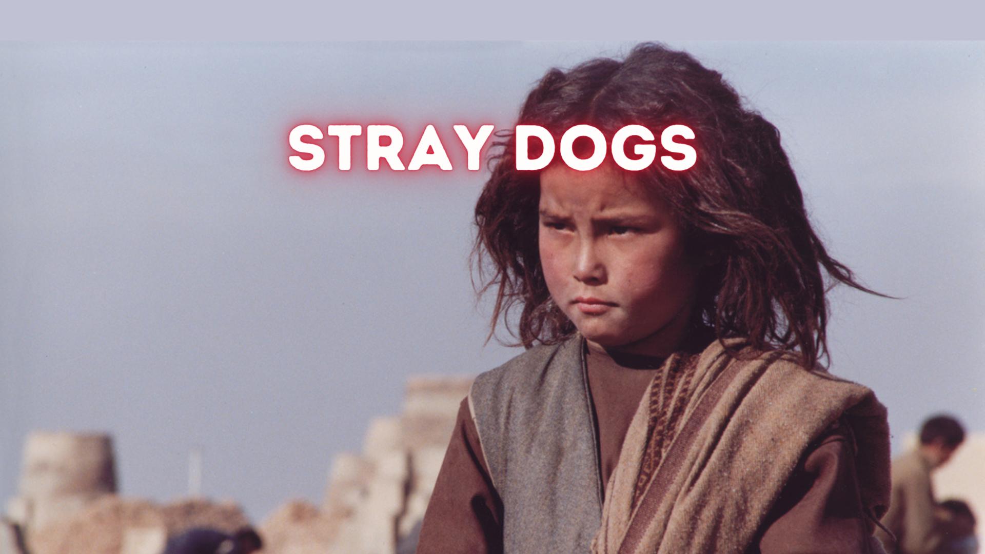 STRAY DOGS: Sands Films Cinema Club online presentation