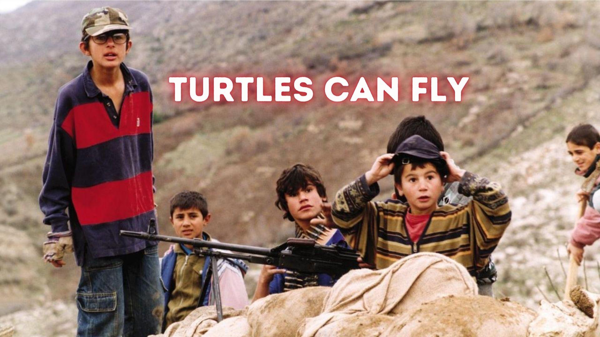 TURTLES CAN FLY: Sands Films Cinema Club online presentation