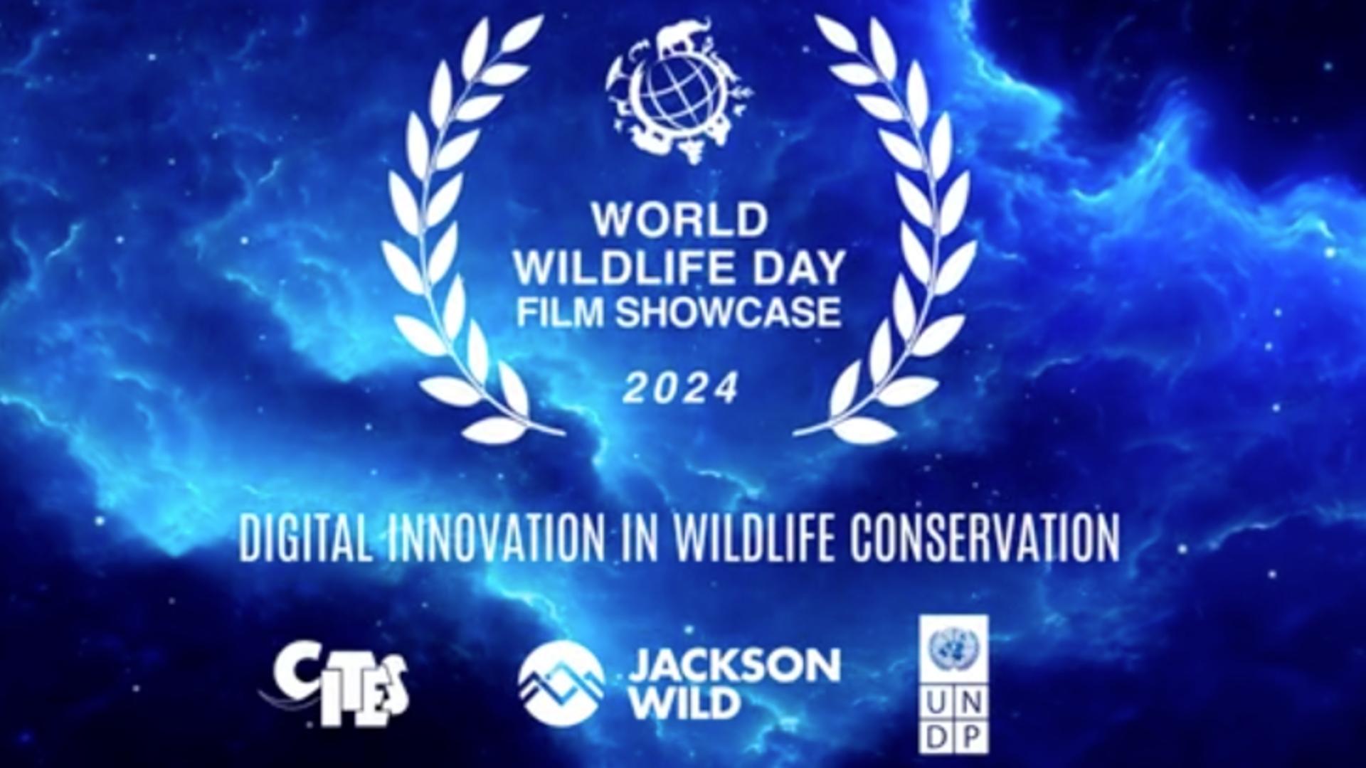 2024 WWD Official Selection Showcase Reel