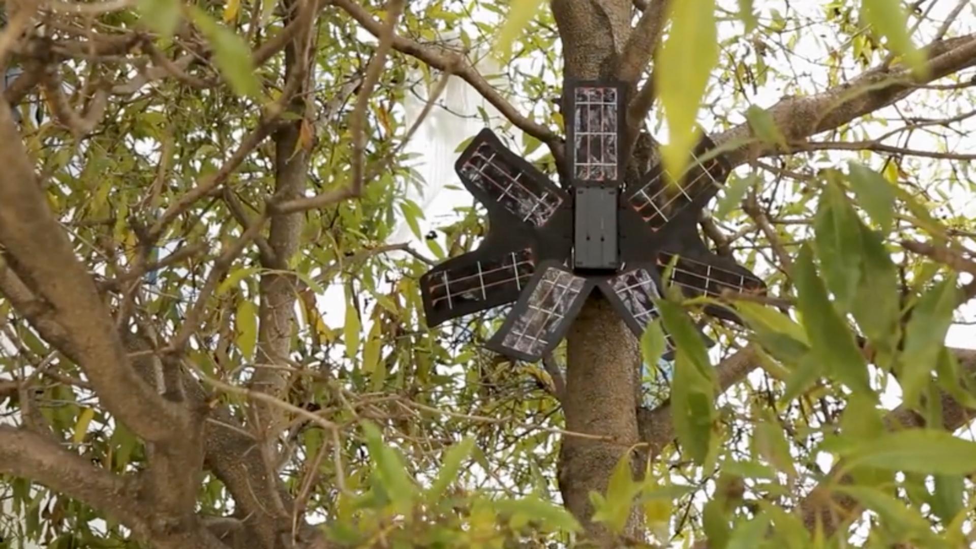 Wild Crime: How Old Cell Phones Are Protecting the Rainforest