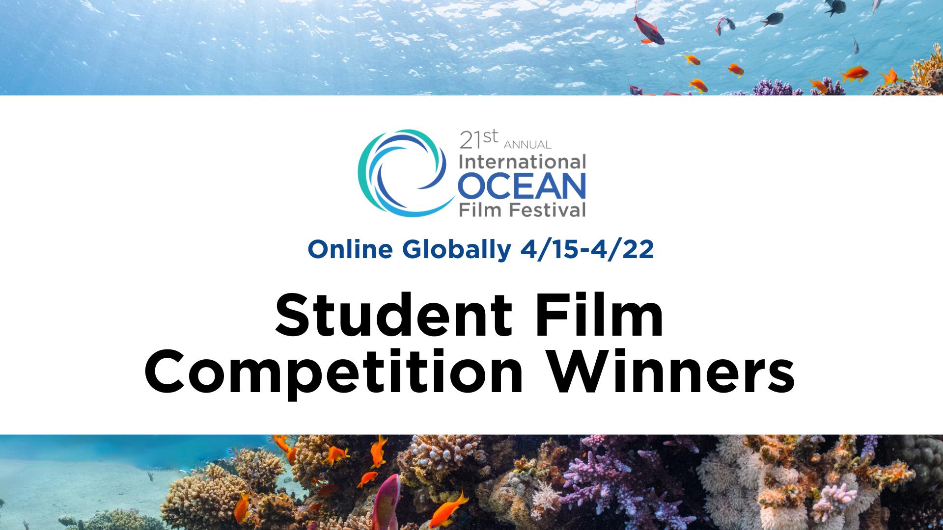 Student Film Competition Winners 2024