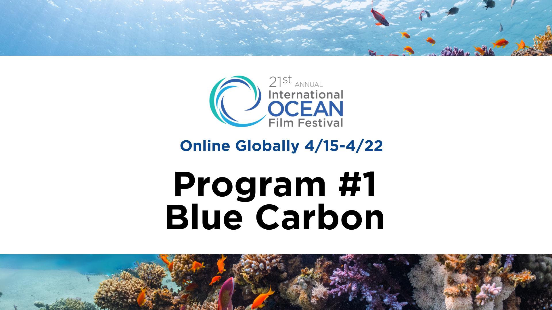 Virtual Screening Program #1 - Blue Carbon