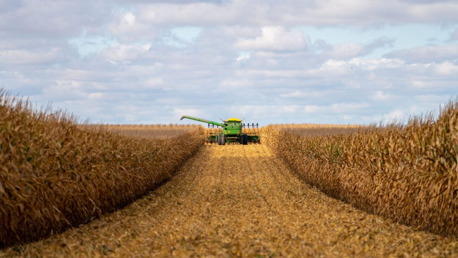 The Diverse Corn Belt