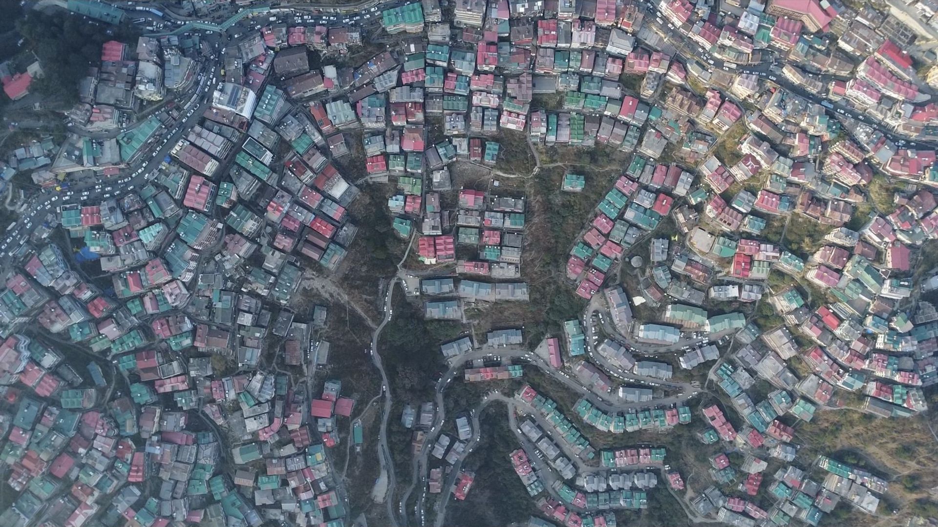 Concrete Over the Forest