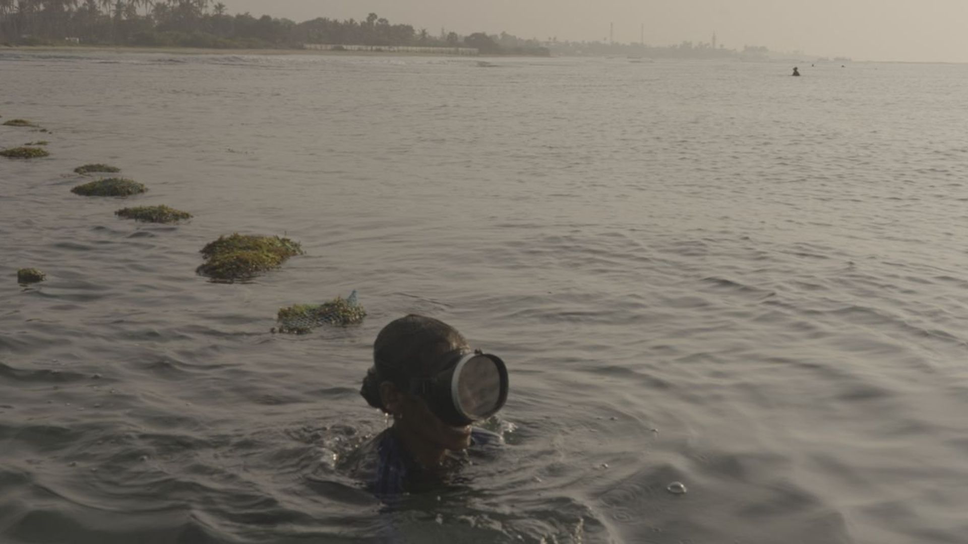 Mermaids of Mannar