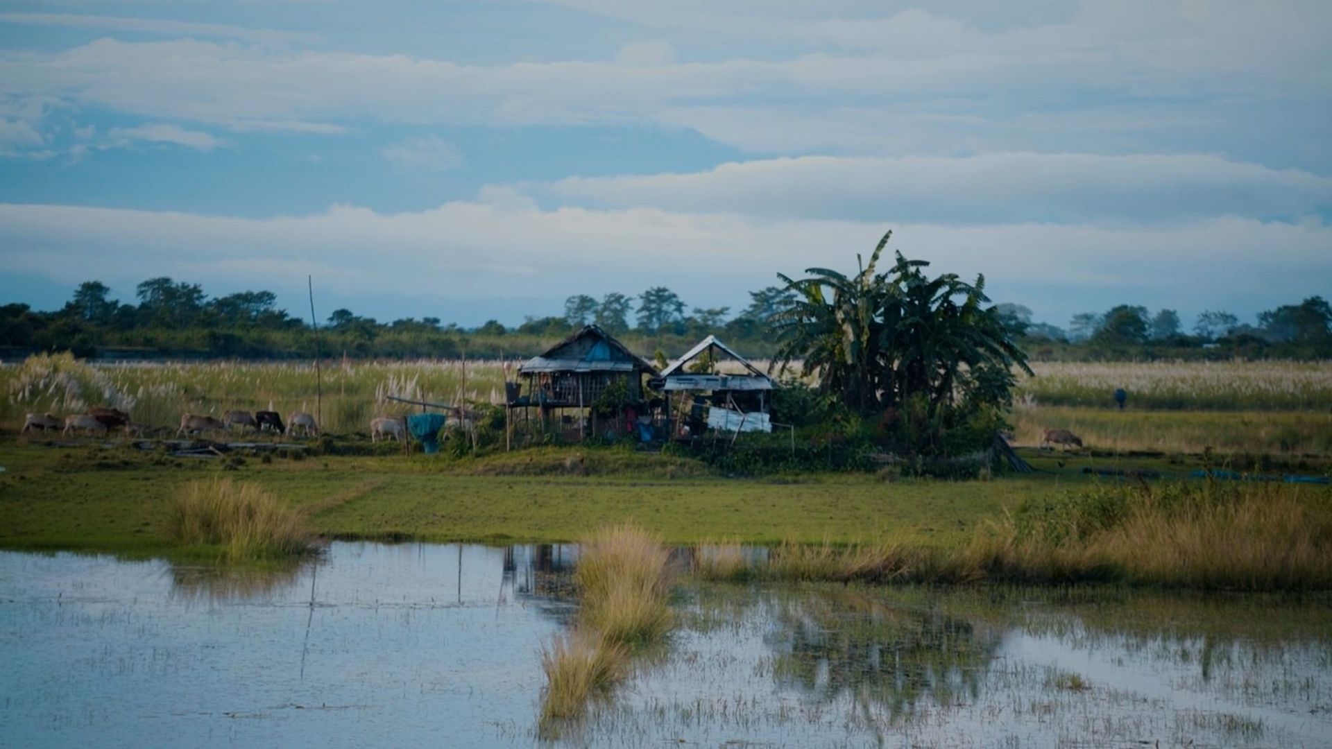 Namsing | Preserving A Tradition