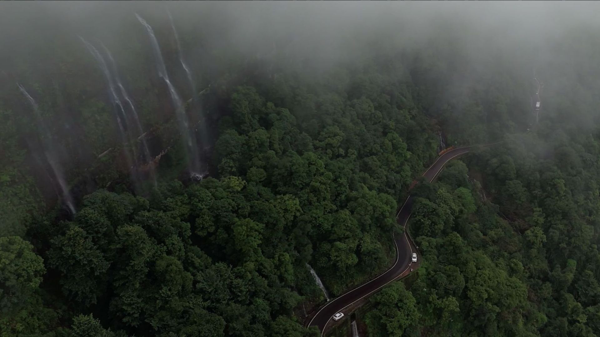 Vana Bhashi | India’s Living Ecosystem