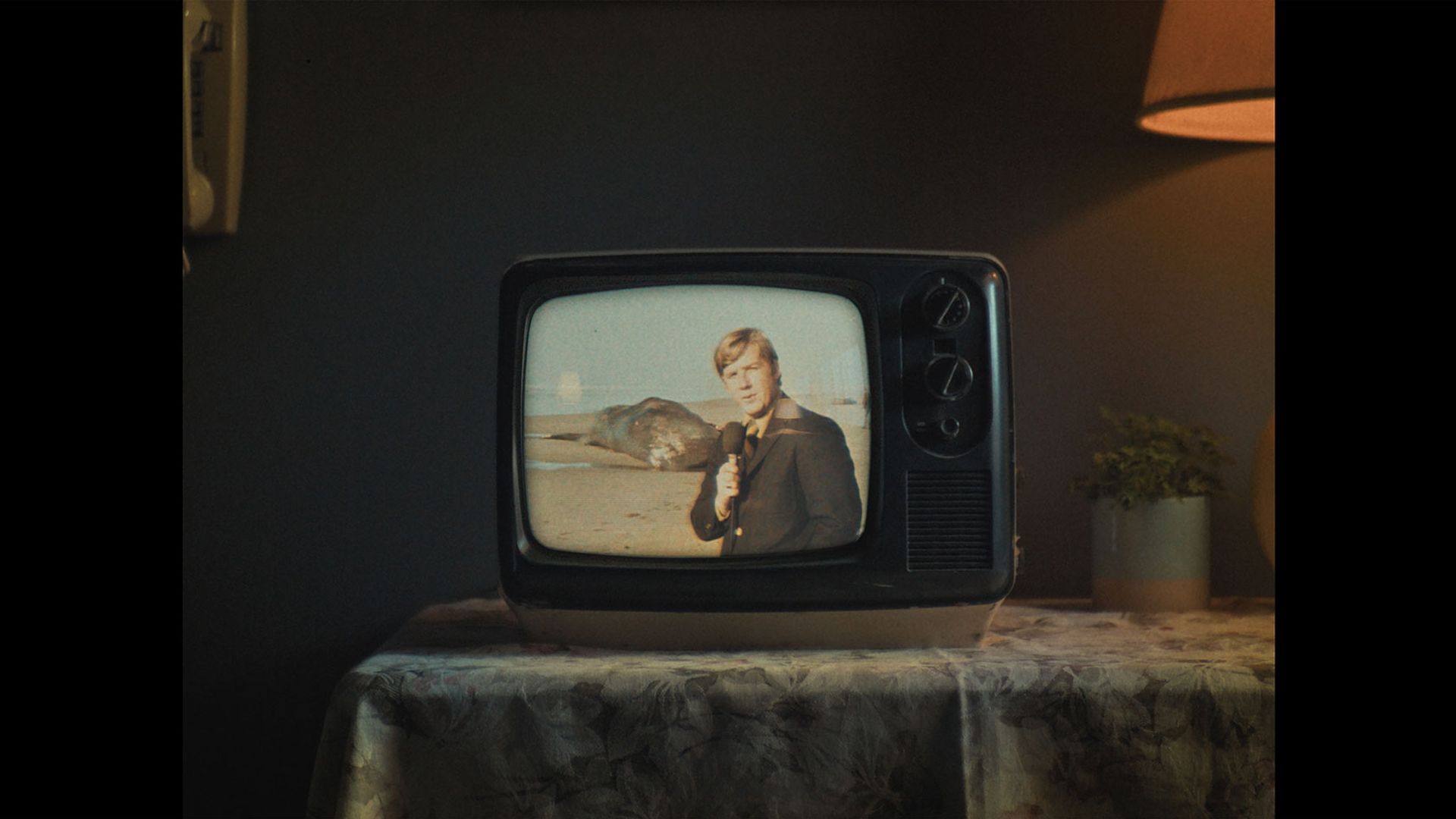 Documentary Shorts Bundle