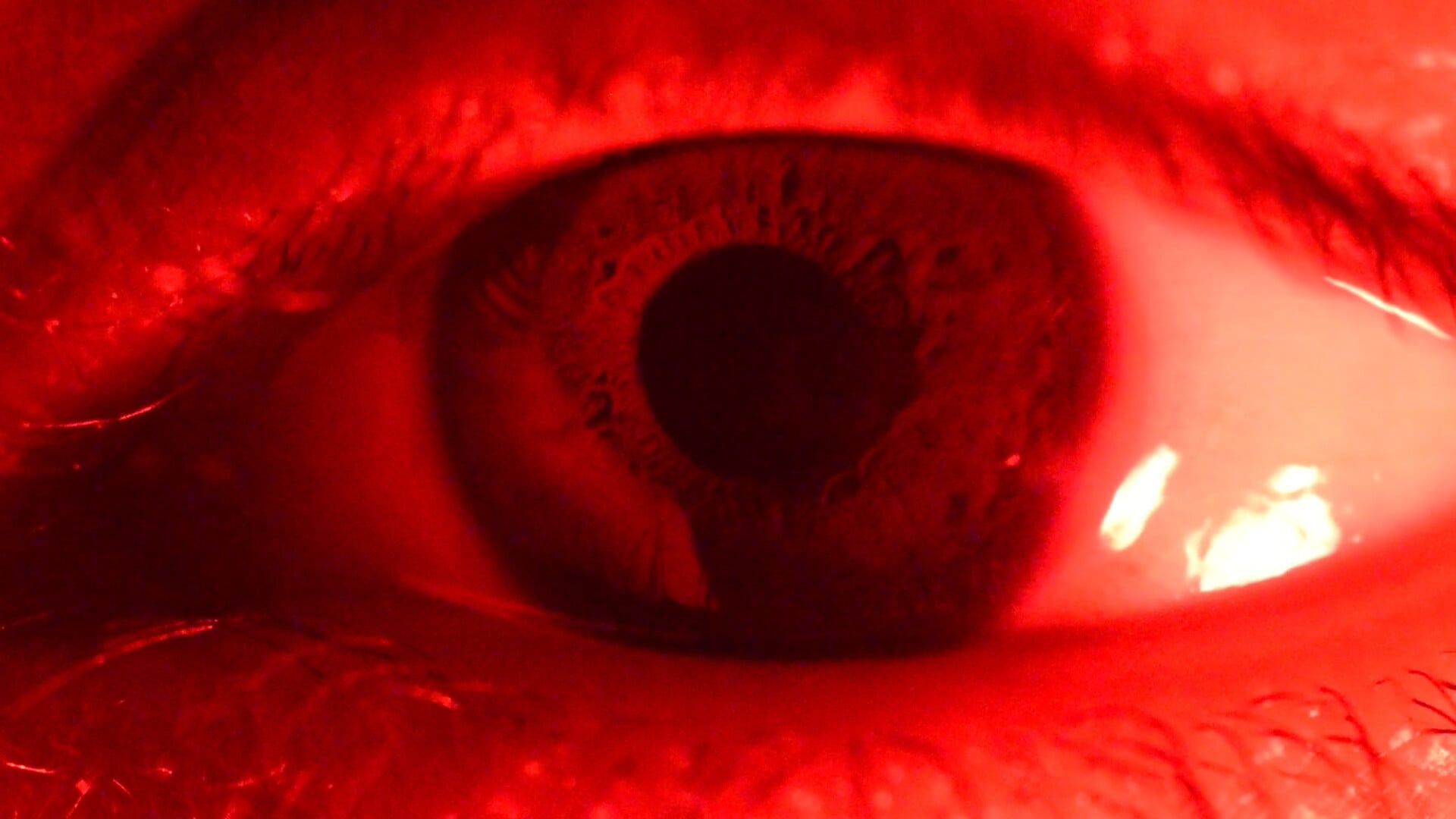 Shorts Program – Online for 24 Hours and In-Person at 7PM!