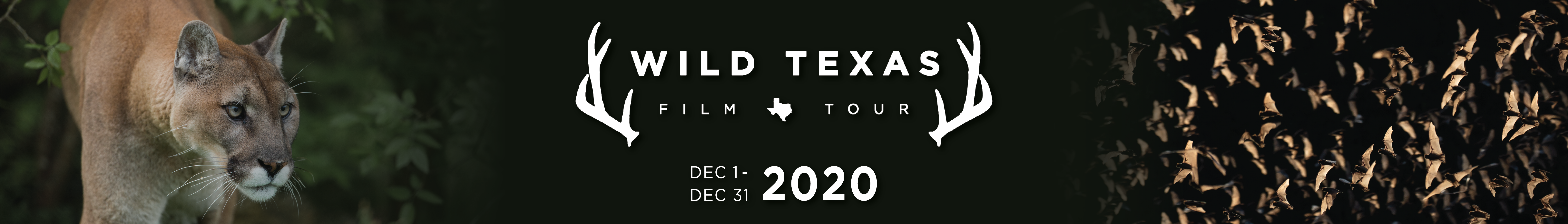 Wild Texas Film Tour