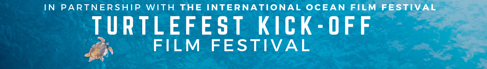 TurtleFest Kick-off Virtual Film Fest