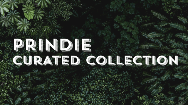 PRINDIE Curated Collection