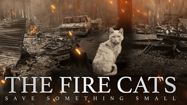 The Fire Cats - Save Something Small